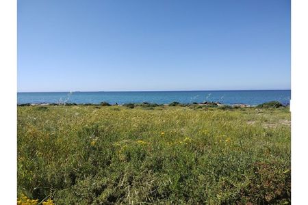 St Helena Bay/St Helena Bay/Western Cape